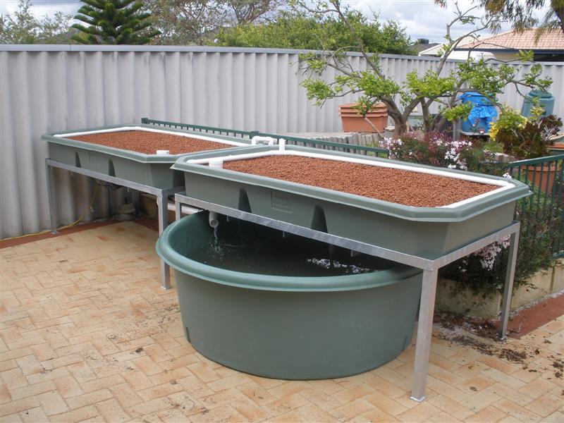 P8300321 (Medium).JPG