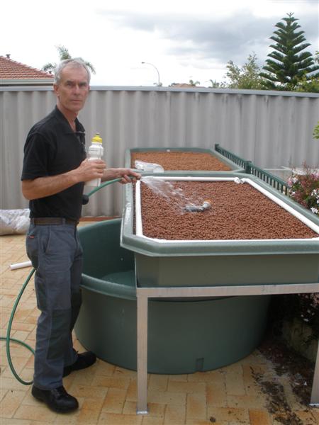 P8300319 (Medium).JPG