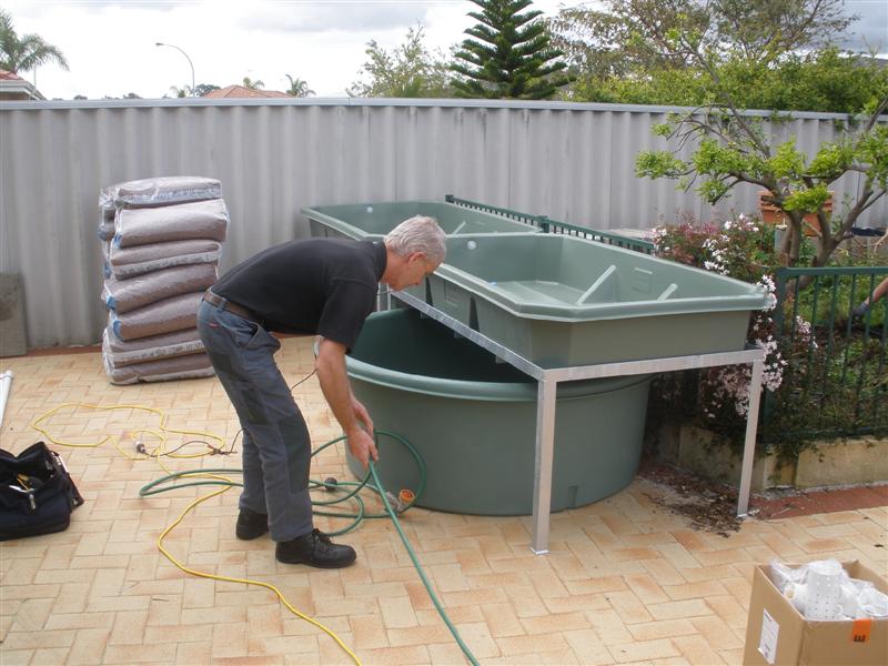 P8300315 (Medium).JPG