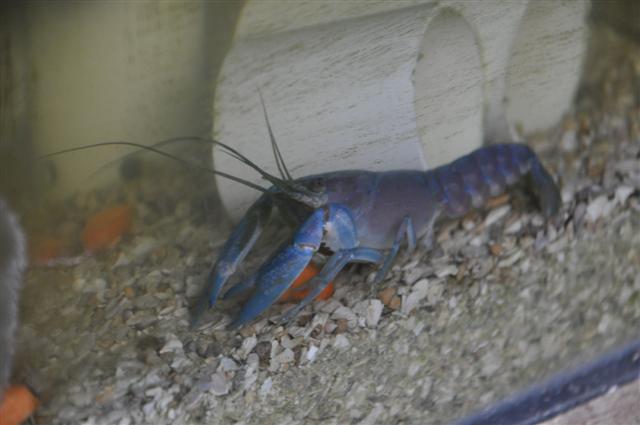 New Additions (3).jpg