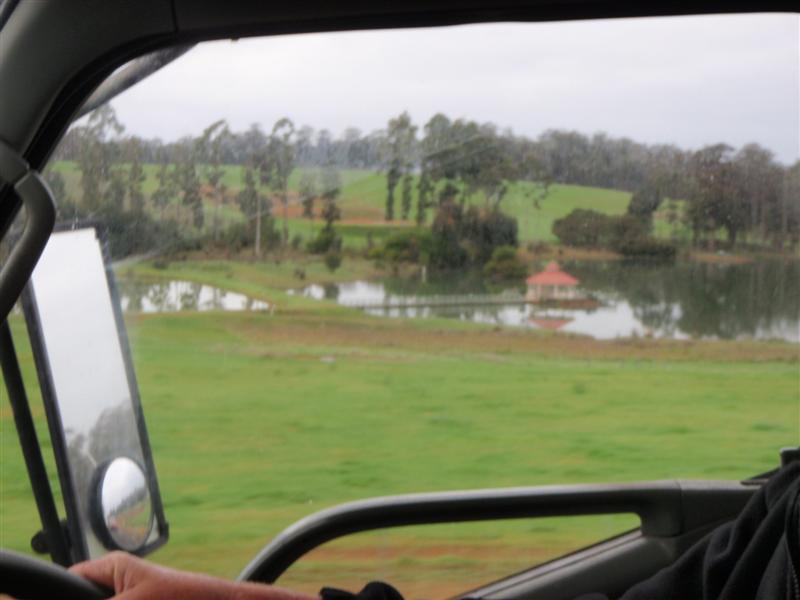 P9090276 (Medium).JPG