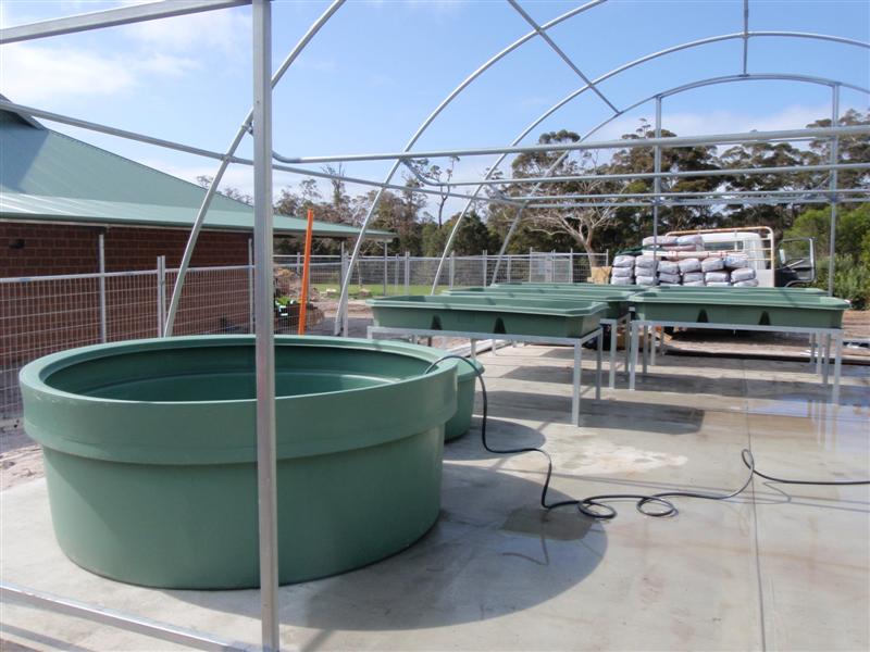 P9090222 (Medium).JPG