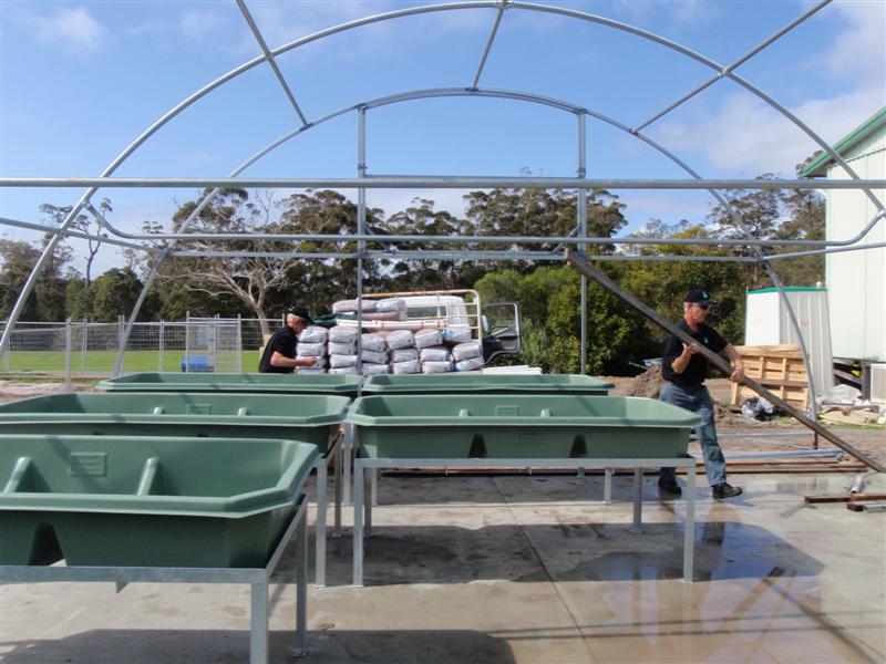 P9090224 (Medium).JPG