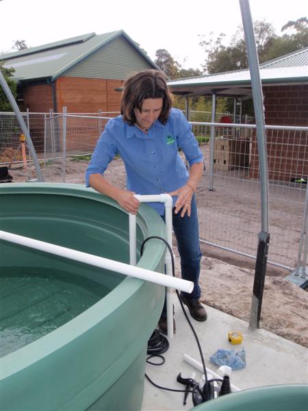 P9090226 (Medium).JPG