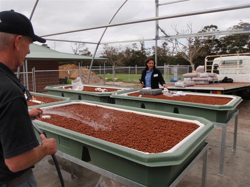 P9090231 (Medium).JPG