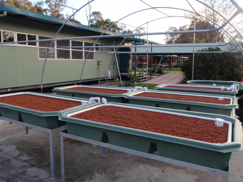 P9090243 (Medium).JPG