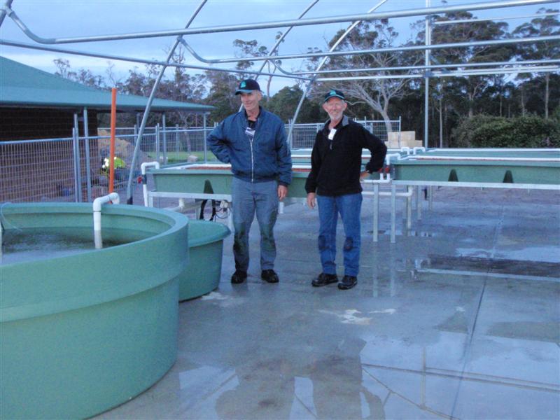 P9090254 (Medium).JPG