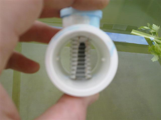 11092010034 (Small).jpg