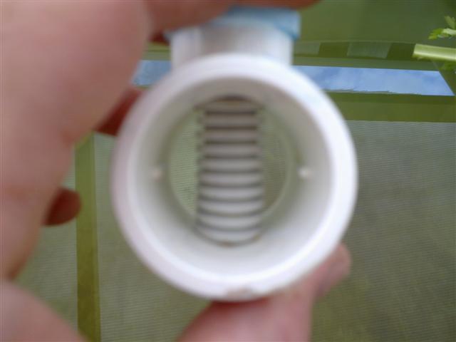 11092010033 (Small).jpg