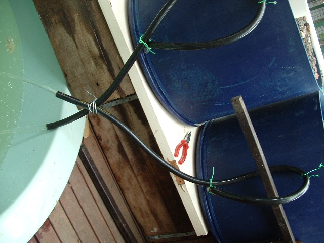 barrel ponics 023 resized.jpg