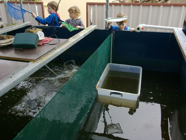 Copy of 12092010348.jpg