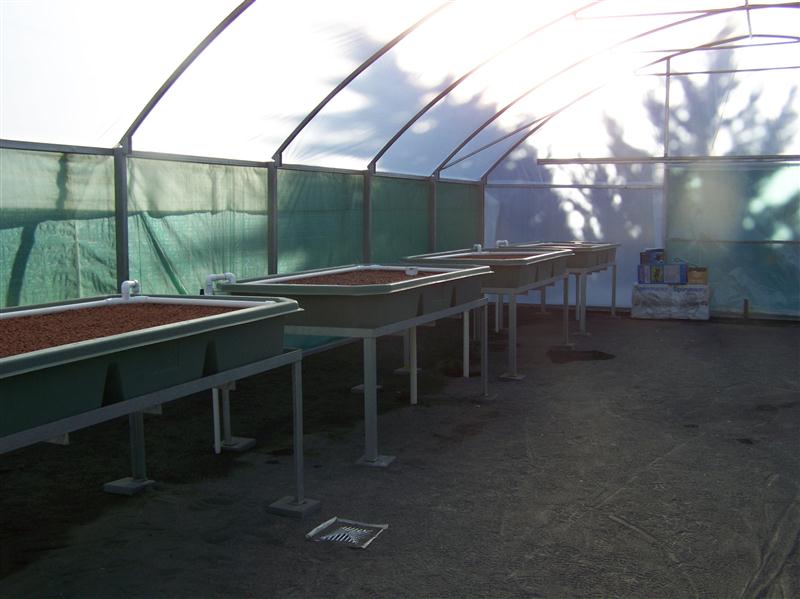 100_5225 (Custom).JPG