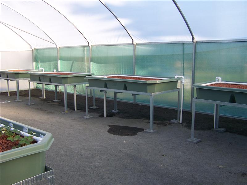 100_5228 (Custom).JPG