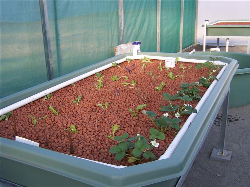 100_5232 (Custom).JPG