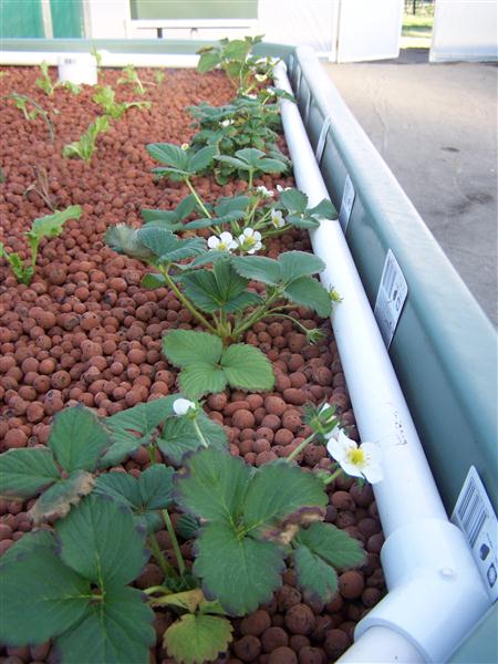 100_5231 (Custom).JPG