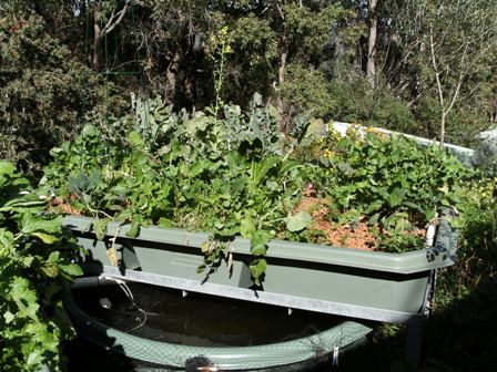 armin 6-12 fuji 013small.jpg