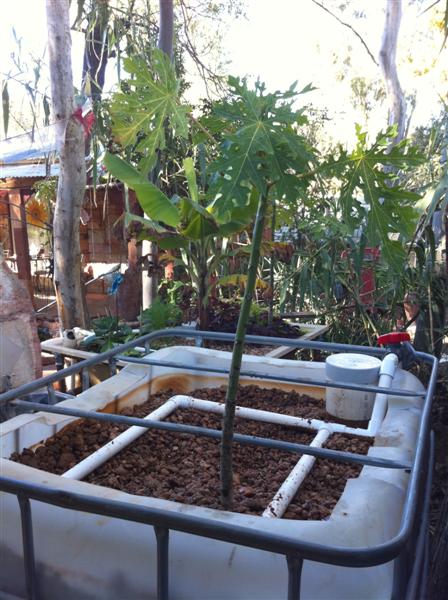 AP 25 August 003 (Medium).jpg