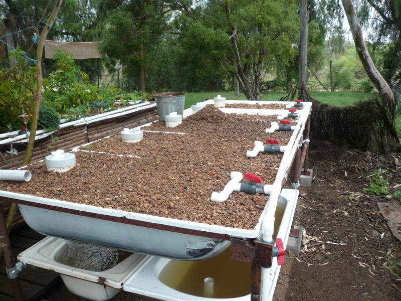 AP Stage 3 Progress 036 (Medium).jpg