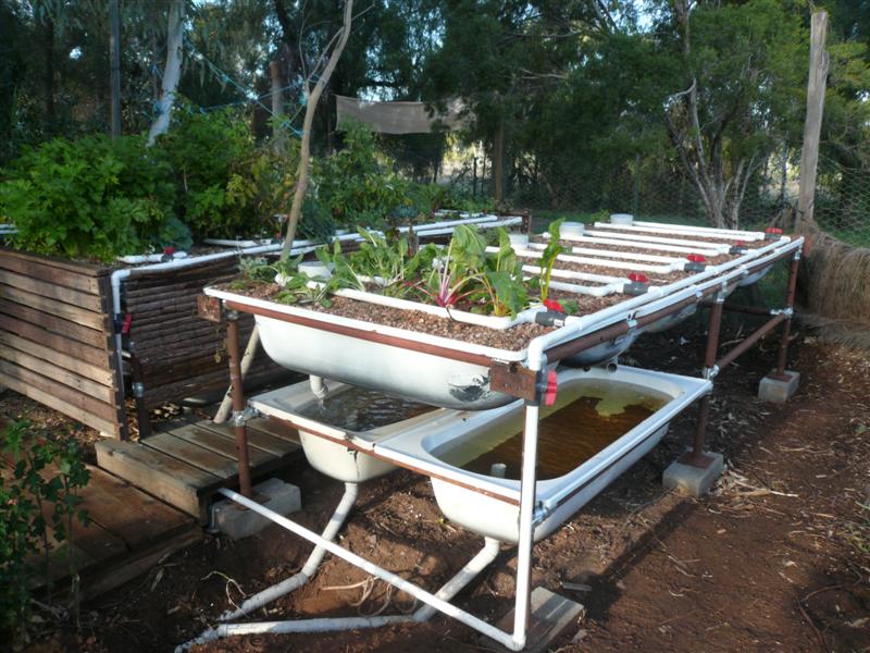 AP Stage 3 Progress 056 (Medium).jpg