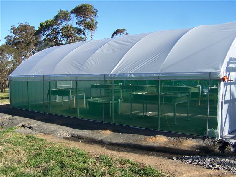 100_5242 (Custom).JPG