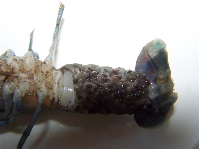 100_2629 (Medium).JPG