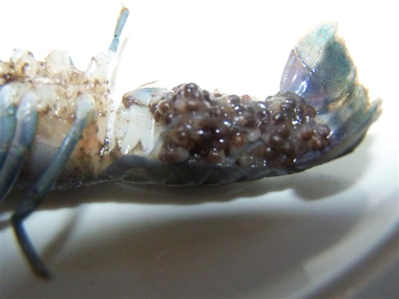 100_2632 (Medium).JPG