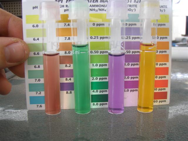 Water test 170910 (Small).JPG