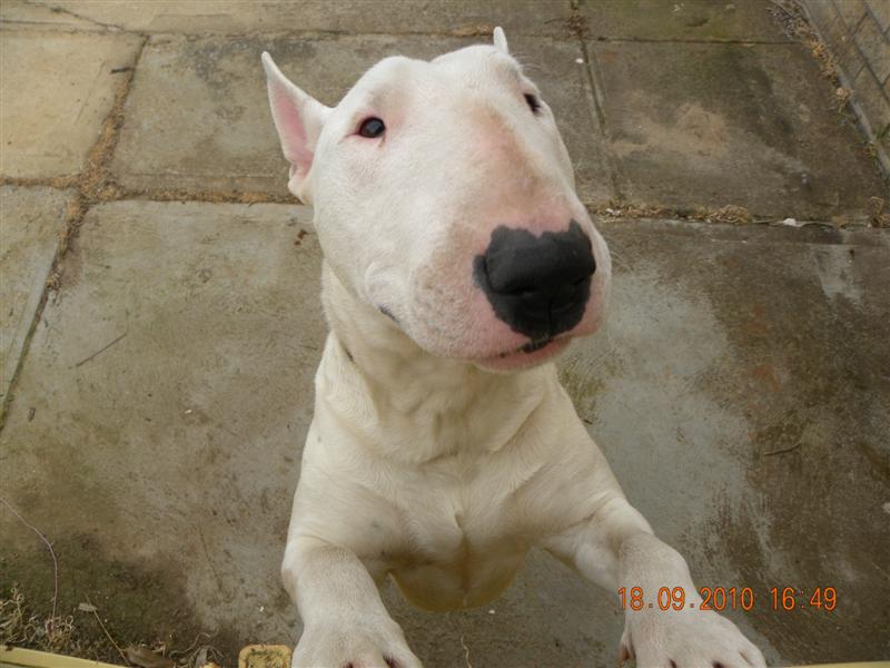 Sunnies 020 (Medium).jpg