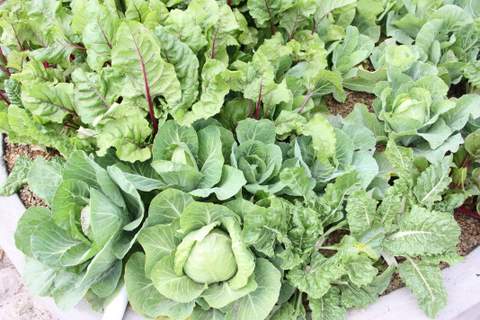 judes birthday 077.JPG