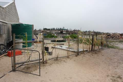 judes birthday 072.JPG