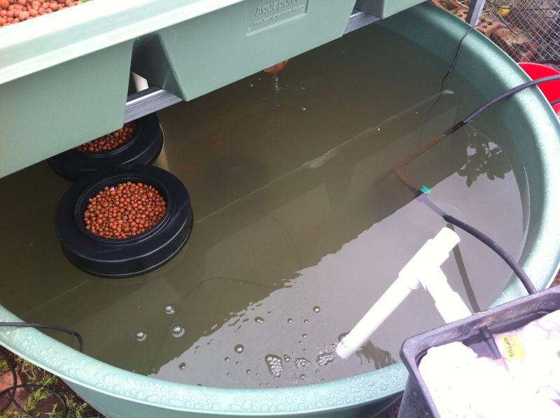 New AP system morning of day 3 - 1.jpg