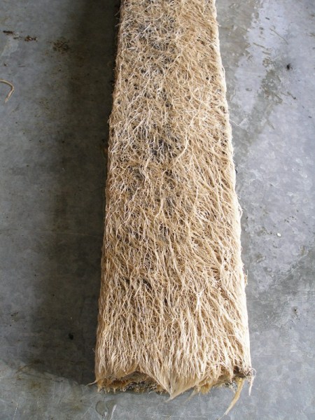 P1190308 - Copy (600x800).jpg