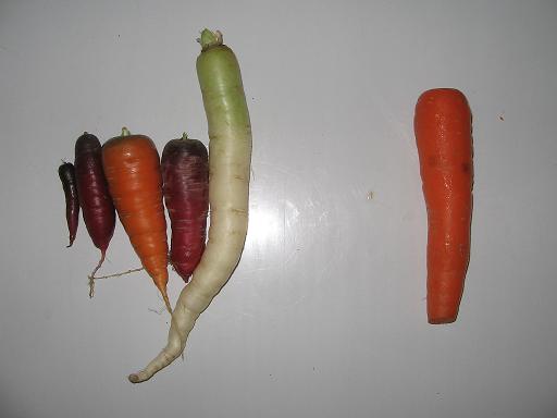 Ap Carrots 007.JPG