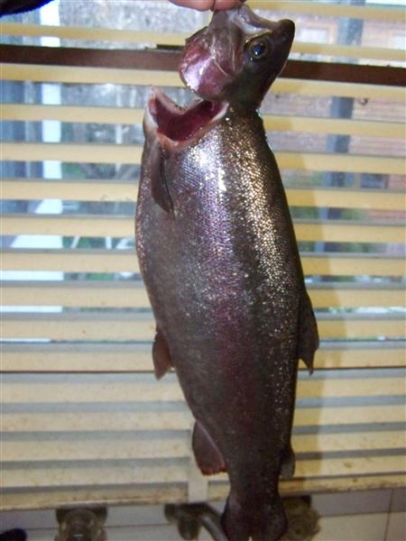 100_5250 (Custom).JPG