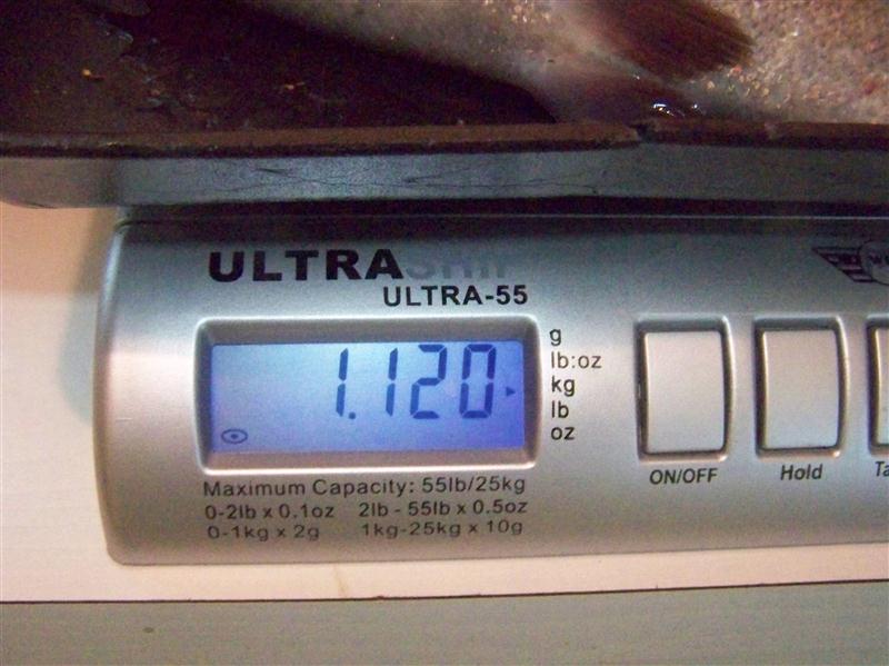 100_5247 (Custom).JPG