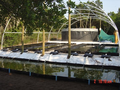 growing trays-R1.JPG