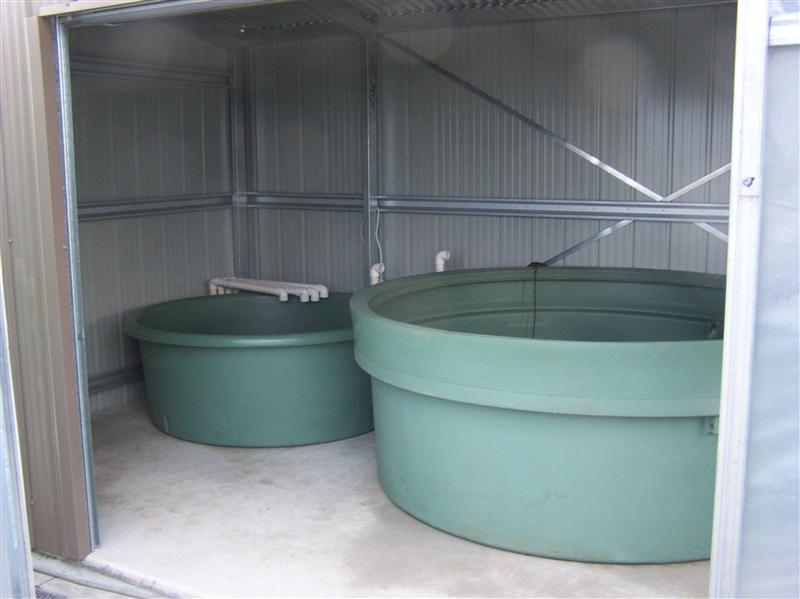 100_5264 (Custom).JPG