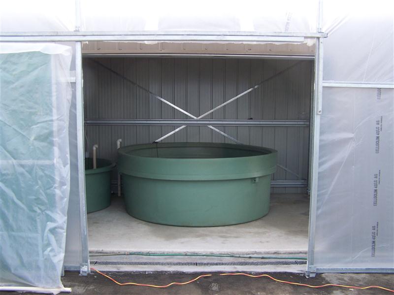 100_5263 (Custom).JPG