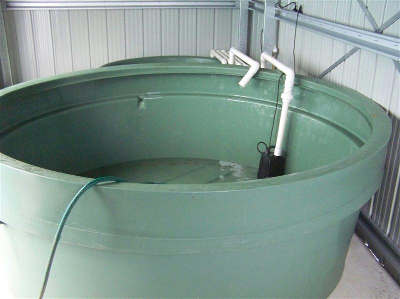 100_5273 (Custom).JPG