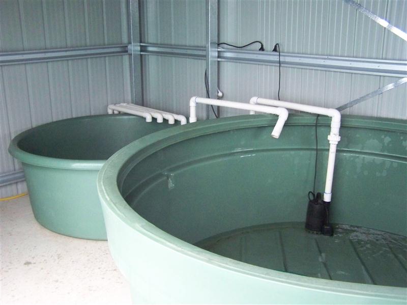 100_5270 (Custom).JPG