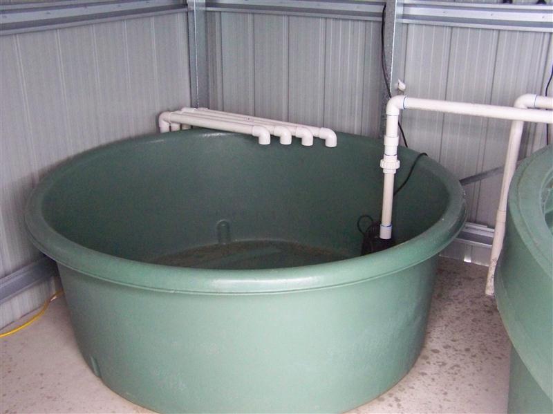 100_5271 (Custom).JPG