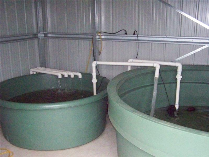 100_5280 (Custom).JPG