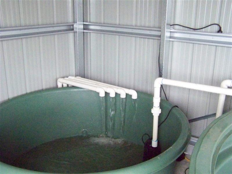 100_5277 (Custom).JPG