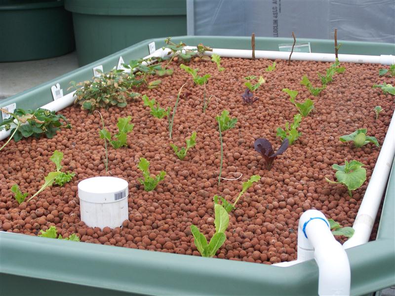 100_5276 (Custom).JPG