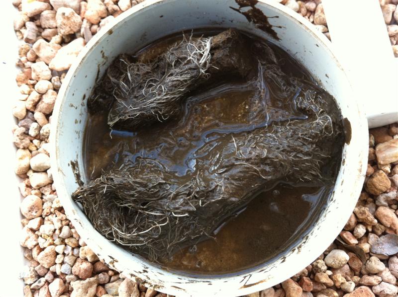 Spraybar gunk (Medium).jpg