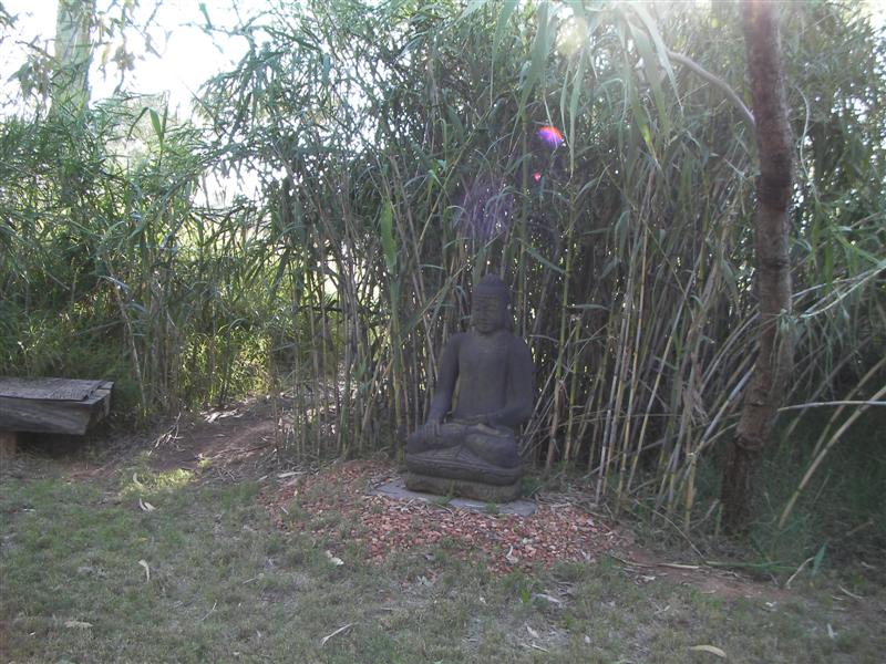 Buddha 097 (Medium).jpg