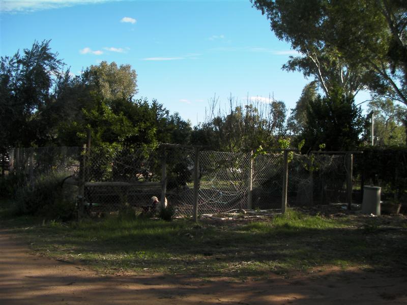 Looking toward orchard (Medium).jpg