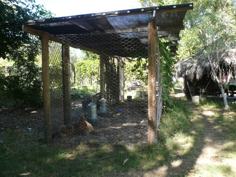 Silky pen (Medium).jpg