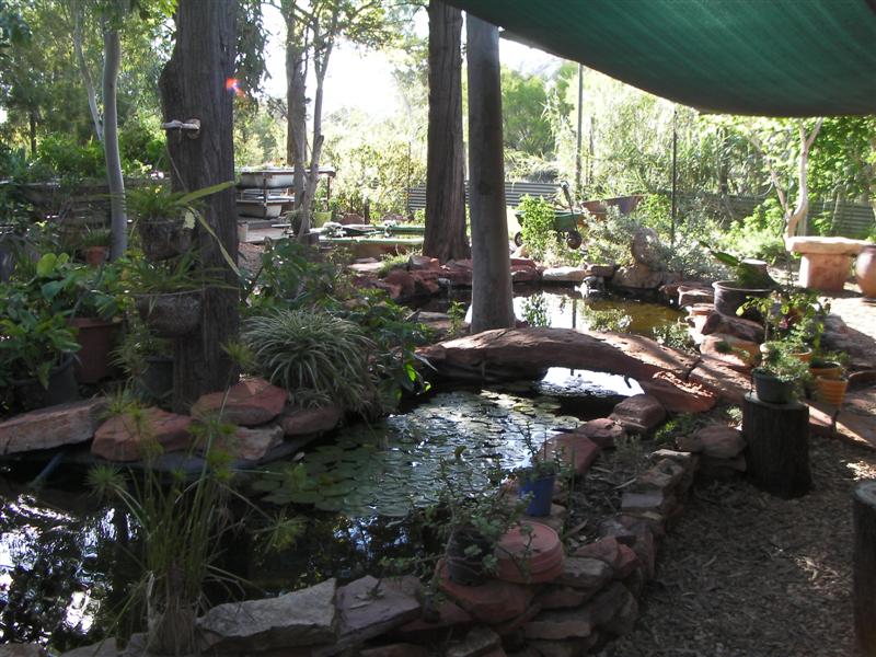 AP looking Nth 104 (Medium).jpg