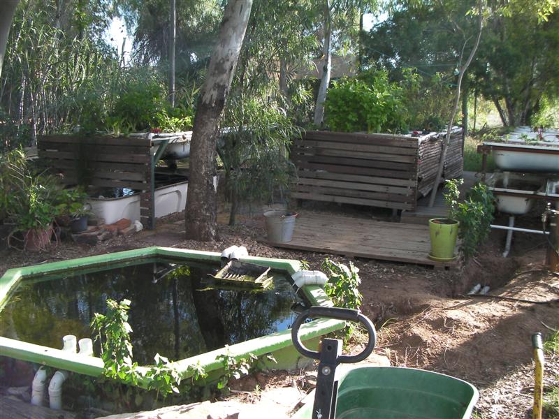 AP looking West 116 (Medium).jpg